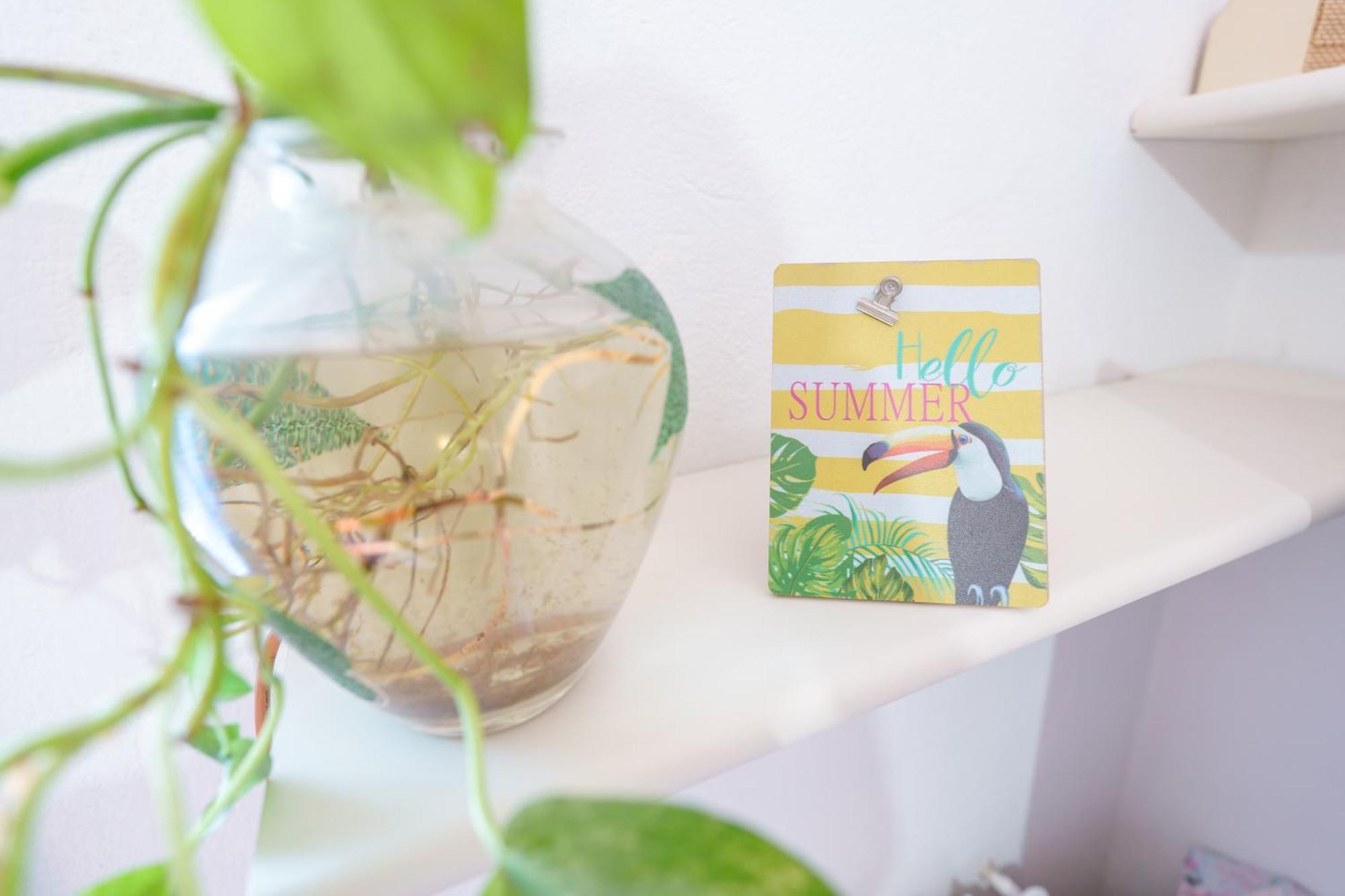 B&B Pothos - Eng Ita - Air Conditioning Wi-Fi Fridge Netflix Local Guide - Aria Condizionata, Frigo, Internet, Guida Locale 칼리아리 외부 사진